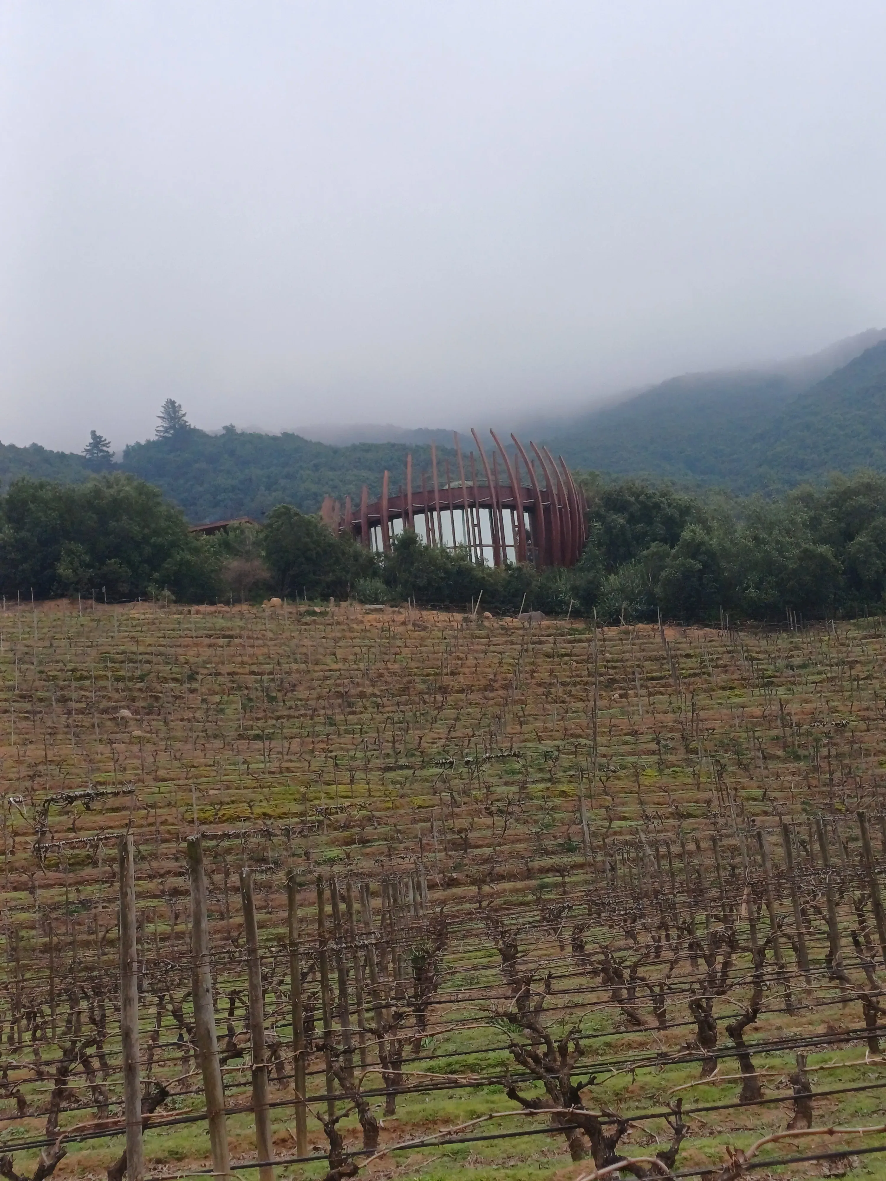 Clos Apalta Premium