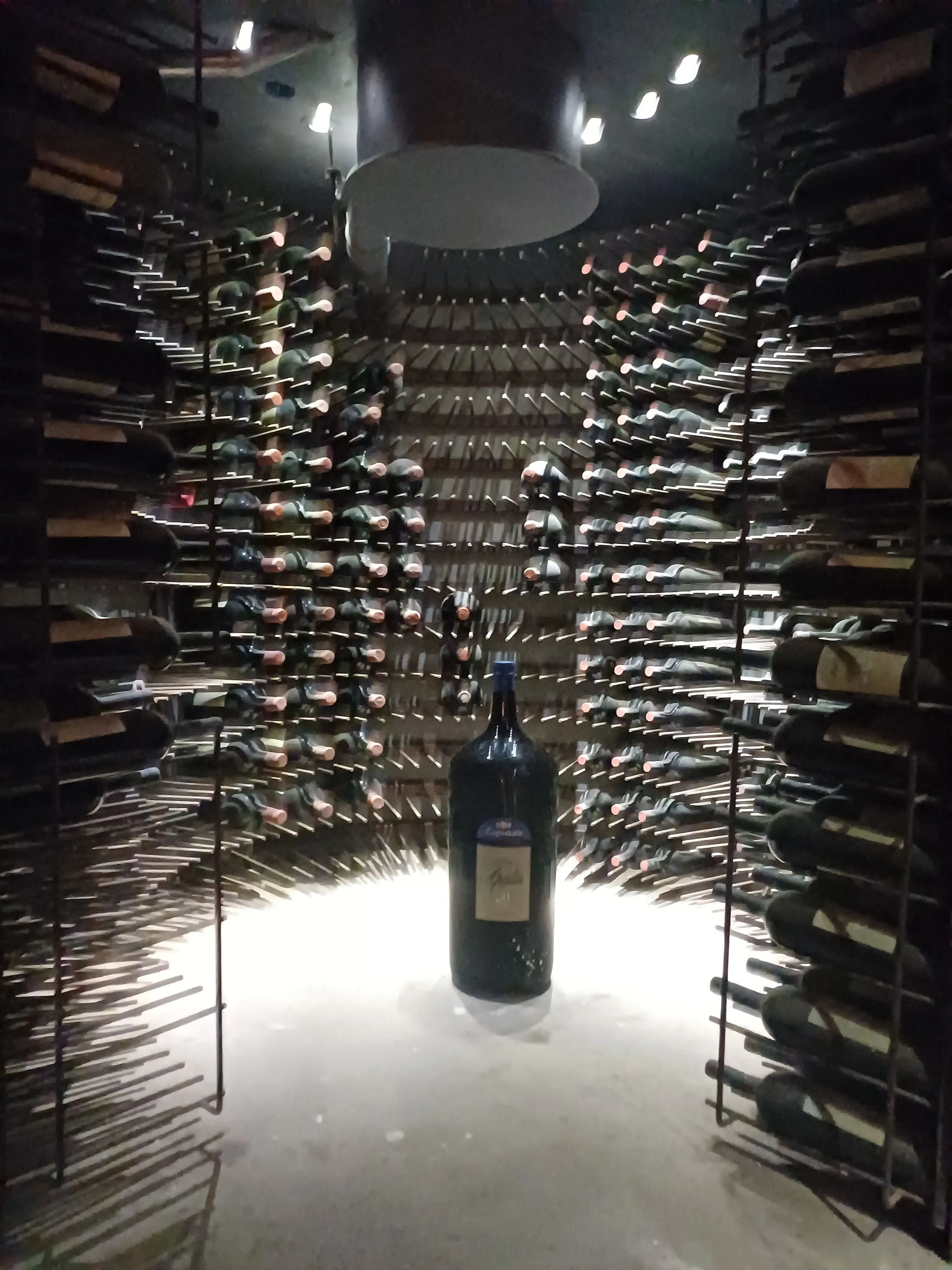 Colchagua Valle Apalta