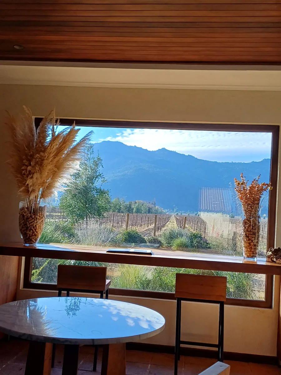 Colchagua Valle Apalta