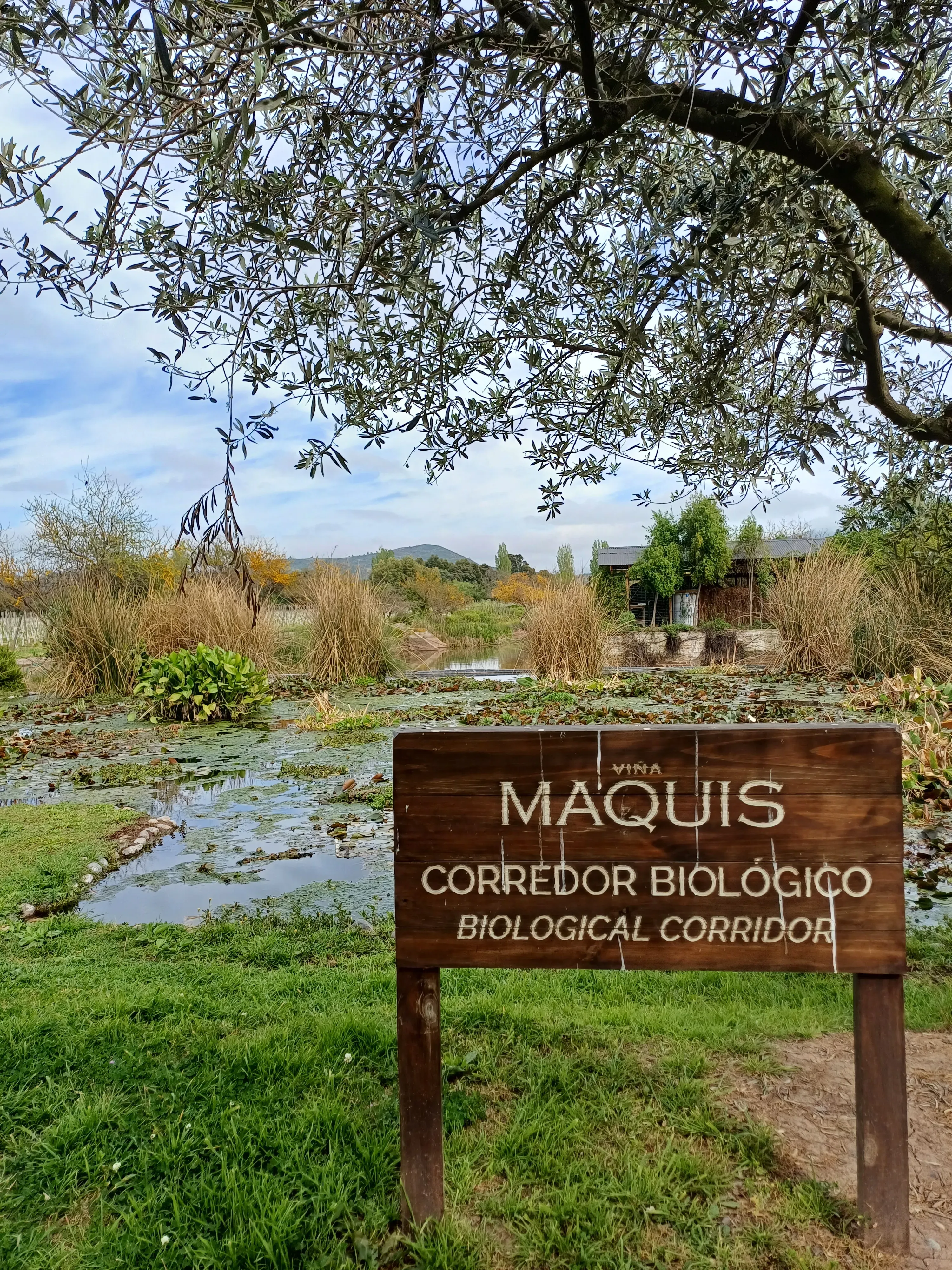 Colchagua Carruaje + Boutique